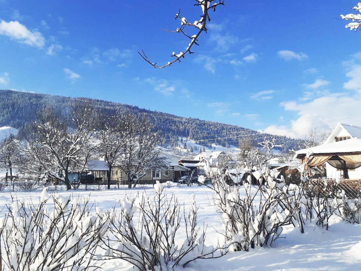 Lavanda Cottage Verkhovyna Bagian luar foto